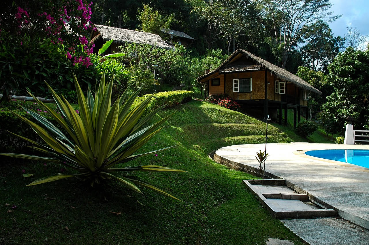 Scopri il Babai Village Resort: un'oasi di natura per una vacanza indimenticabile tra relax e avventure all'aperto.
